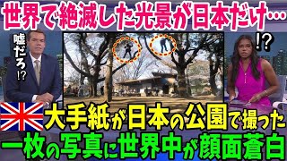 【海外の反応】「日本と他の国では子供に対する考え方が全く違う…」イギリス大手紙が大特集！日本の公園で見た光景に世界が顔面蒼白w【日本のあれこれ】