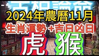 【古柏論命每月運勢+吉日凶日】2024年農曆11月(陽曆12/1 ~ 12/30)生肖運勢分享 -   虎＋猴