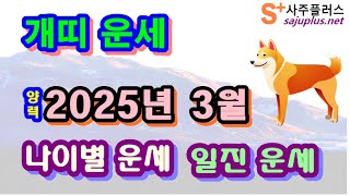 3월 개띠 운세 - 2025년 3월 을사년 기묘월 개띠 나이별 사주 운세보기