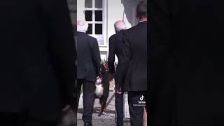 Biden gets barked at by Irish President’s dog - Misneach