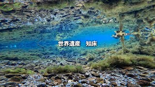 【日本全国釣り旅】世界遺産知床でサケ釣りとDAISOロッドで穴釣りしたらまさかすぎる展開に…