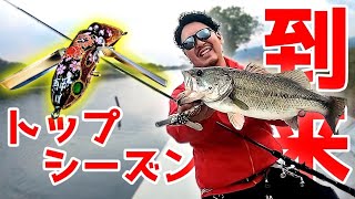 【バス釣り】五三川にトップで釣れる時期が来た‼︎