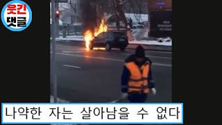 러시아 상남자들