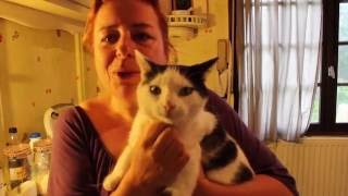 Recette Croquette chat ou  friandise au Thermomix