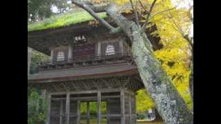 「秋の広徳寺」 癒される東京パワースポットPower spot in Tokyo,Koutoku-ji 　スライドショー