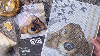 Cross Stitch Kit Dachshund Dog with easy counted pattern  #countedcrossstitch #dachshund #dog