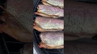 I Smoked Trout for my Coworkers