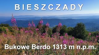 Najpiękniejszy szlak w Bieszczadach - Bukowe Berdo 1313m n.p.m.