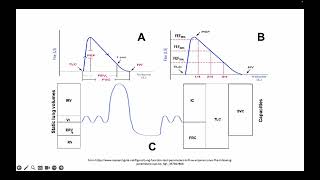 Intro to Lung Diseases