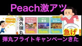 【セール】急げ！！LCCの雄ピーチから平日弾丸激安フライトキャンペーンがやってきた！！【LCC】【燃油サーチャージなし】【国内海外旅行】【PEACH】