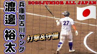 【2024東洋大姫路高進学≪2023JUNIOR ALL JAPAN(NOMO JAPAN)中学野球日本代表選出/打撃\u0026守備≫強打の捕手】2023/07/31兵庫加古川ヤング・渡邊 裕太