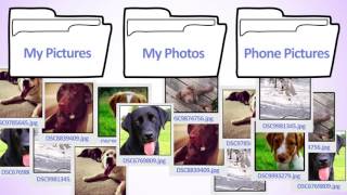 Basic Principles of Organizing Directories Part 1