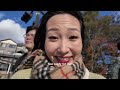 nikko vlog 🇯🇵 ⛩️ my favourite place autumn leaves waterfalls hiking beautiful scenery.