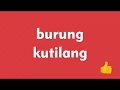 Burung Kutilang - Lagu Anak