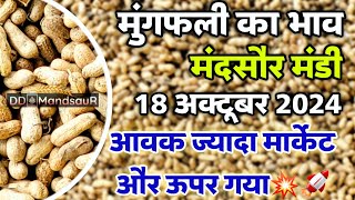 18 अक्टूबर 2024 मुंगफली का भाव मंदसौर मंडी | Mungfali ka bhav |  Mungfali bhav mandsaur #mandsaur