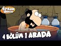 Fırıldak Ailesi - 4 Bölüm 1 Arada | 6 +15