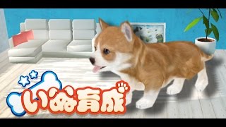 【癒し】幸せの犬育成ゲーム3D-完全無料のペット育成ゲーム-