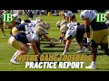 Notre Dame Practice Report