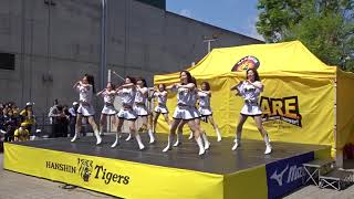 2023　２曲　タイガースガールズ　2023.4.9　日曜　甲子園　阪神　プロ野球