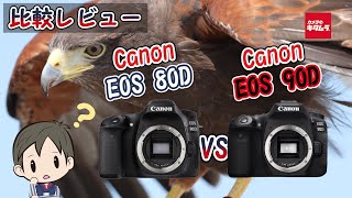 【カメラ比較】キヤノンの一眼レフEOS 80DとEOS 90Dの違いとは！？