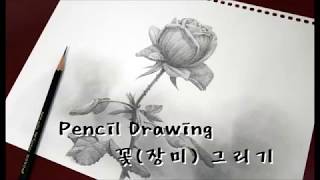 연필소묘 - 장미꽃그리기 [How to draw a flower -  Rose / Speed drawing]