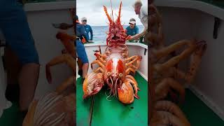 Giant Surreal Shrimp Monster Stuns Fishermen on the Deck