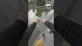 KSS EP 14 เช็คหมายคอลงลำกะโหลก #ตกปลา #fishing #ตกปลา #megabass #เท็กซัสริก #ตกปลาช่อน