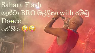 ෆැන්ටා එක්ක මල්ලිකා #Sahara Flash අළුත්ම සිංදුව ජම්බු ගහට නැගලා 🎬🎬🎧 Sahara Flash Fanta New style