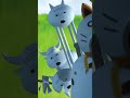 貓咪大戰爭巨人貓跳舞 battlecats giant cat dance🤣🤣 memes cat dance cute thebattlecats