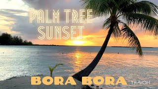 Palm Tree Sunset | Relaxing Tropical Island Meditation | Bora Bora, French Polynesia | 4K Travel