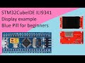 37. STM32CubeIDE ILI9341 TFT Display with STM32F103C8T6