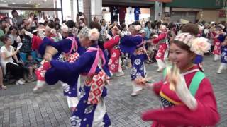 ほにや よさこい大賞 2016本家高知よさこい 全国大会 mususukunjp