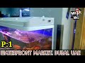 a combination of marine fish waterfront market dubai uae। ওয়াটারফ্রন্ট মার্কেট দুবাই। p 1