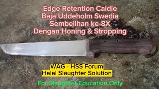 Edge Retention Pisau Caldie (Uddeholm) Made in Swedia, Sembelihan ke-8, Cukup Honing \u0026 Stropping