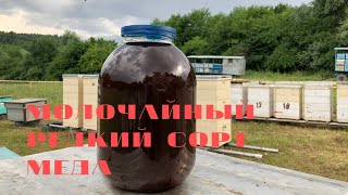 МОЛОЧАЙНЫЙ — РЕДКИЙ СОРТ МЕДА