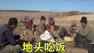 东北大龙662：人参冬季要防寒，一下雇了6个人，这回终于能轻松了