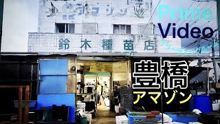 【ショップ訪問】豊橋といえば豊橋アマゾン！初心者にも優しい魚の宝庫！ブリーディングルーム映像アリ #59