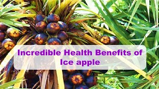 What are the Health benefits of Ice apple II Palmyra II Palm fruit