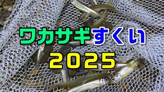 2年目のワカサギ掬い挑戦