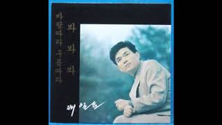 배일호 - 바람 따라 구름 따라 (1991)