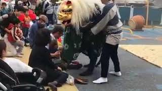 Shishimai Japanese Lion Dance