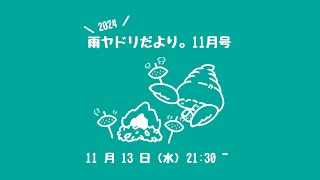 雨ヤドリだより。11月号【フリートーク】