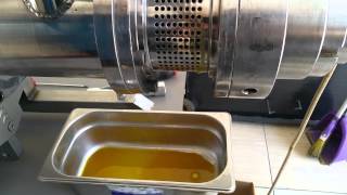 Soğuk Pres Yağı Makinesi NF 1000 Ruşeyin yağı, wheat germ oil, Weizenkern öl