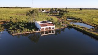 Fazenda a venda em Santa Rita do Tocantins TO#pecuaria#agriculture#lavoura