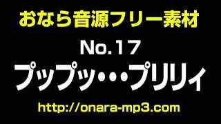 オナラの音No.17「プップッ・・・プリリィ」〜おなら音源フリー素材〜　Fart sounds