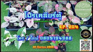 🥰 โปรเคลียร์ตู้ EP. 204 🥰 เริ่มต้นถูกๆ เลยจ้า 28 ก.ย. 66 โทร / ไลน์ 0805194988