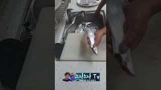 갈치손질 10초만에 간단하게~