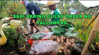 ibat ibang gulay order ng fallowers