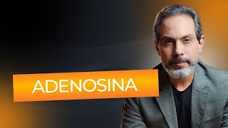 Adenosina | Dr Frederico Porto