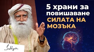 5 храни за повишаване силата на мозъка | Садгуру